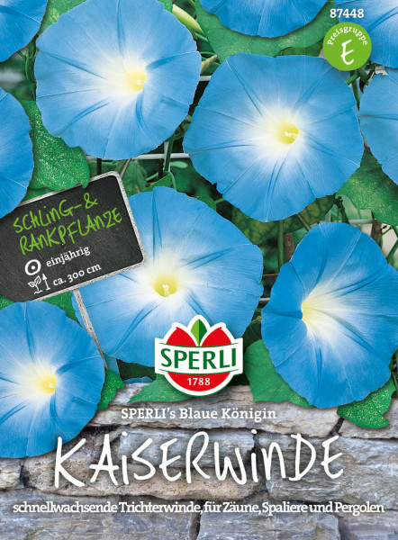 87448_Kaiserwinde-SPERLI-s-Blaue-Koenigin_VS